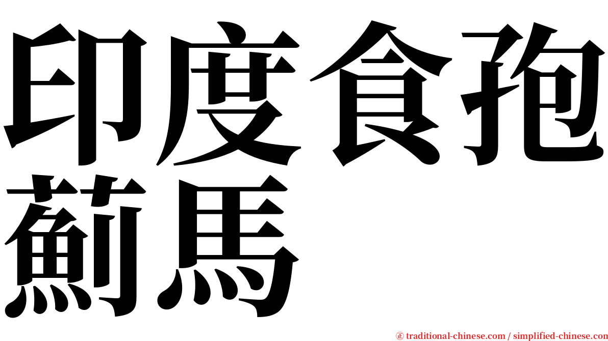 印度食孢薊馬 serif font