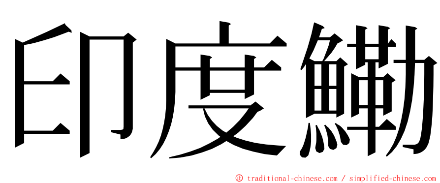 印度鰳 ming font