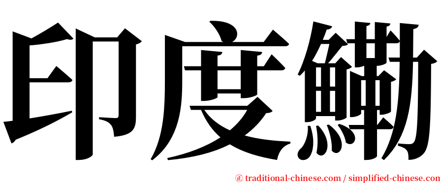 印度鰳 serif font