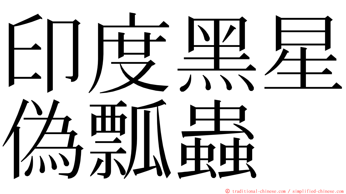 印度黑星偽瓢蟲 ming font