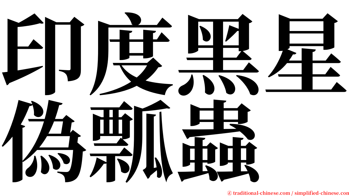 印度黑星偽瓢蟲 serif font