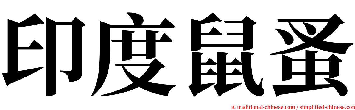 印度鼠蚤 serif font