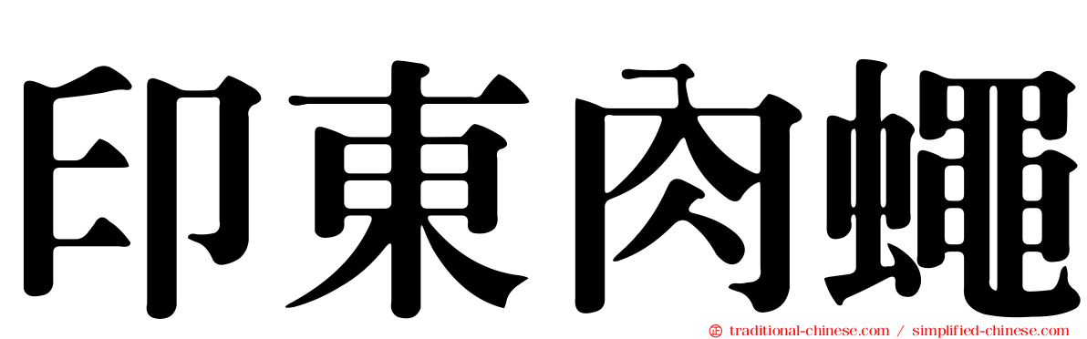 印東肉蠅