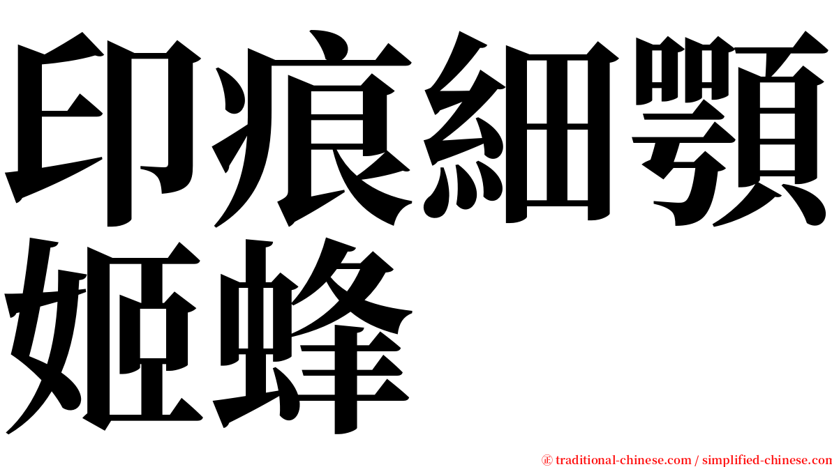 印痕細顎姬蜂 serif font