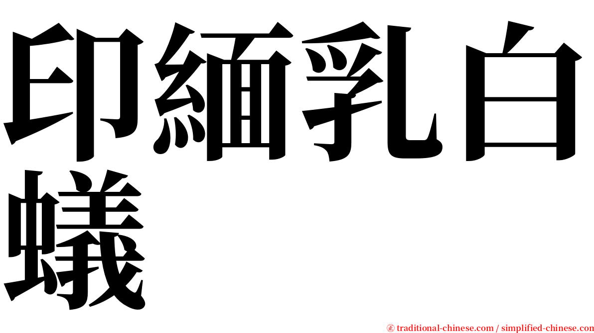 印緬乳白蟻 serif font