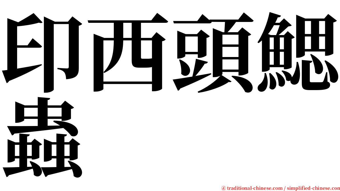 印西頭鰓蟲 serif font