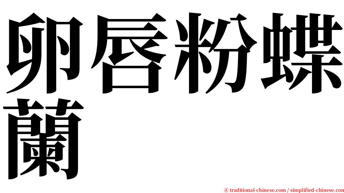 卵唇粉蝶蘭 serif font