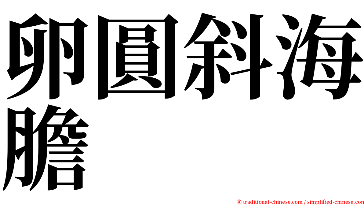 卵圓斜海膽 serif font