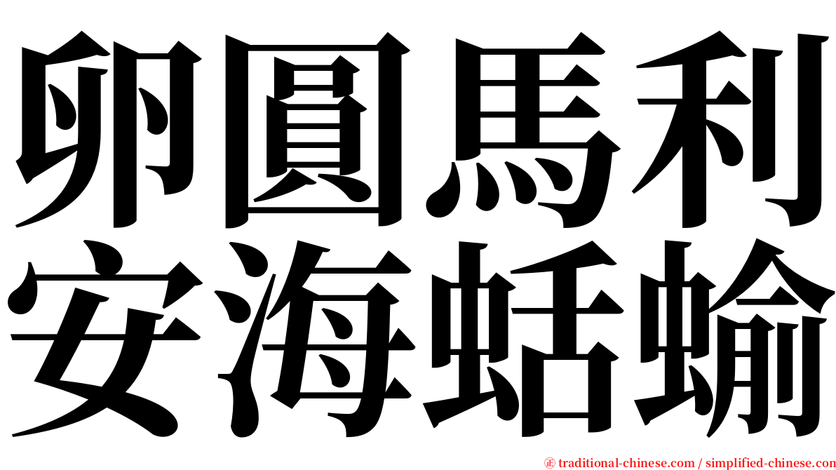 卵圓馬利安海蛞蝓 serif font