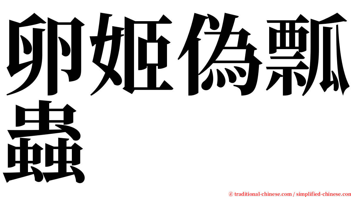卵姬偽瓢蟲 serif font
