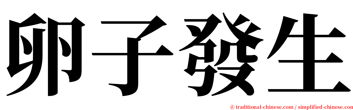 卵子發生 serif font