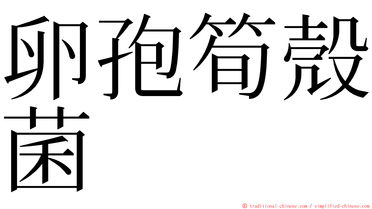 卵孢筍殼菌 ming font