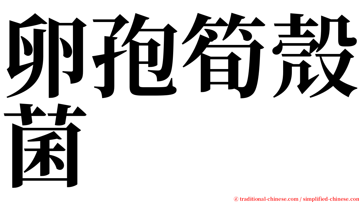 卵孢筍殼菌 serif font