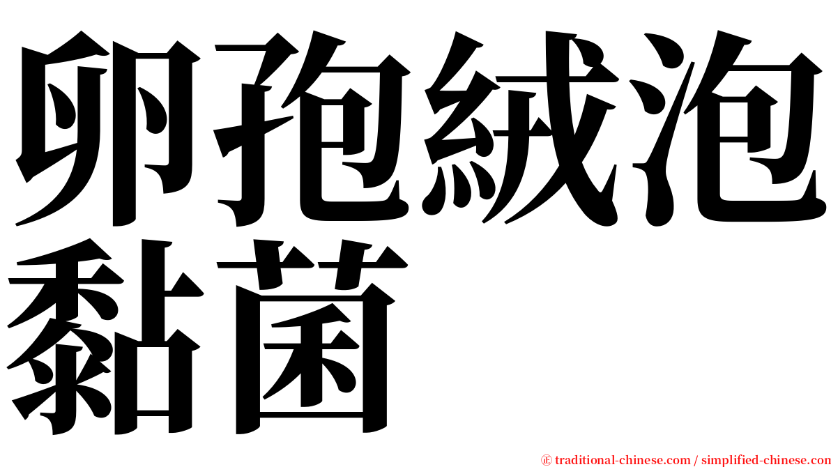 卵孢絨泡黏菌 serif font