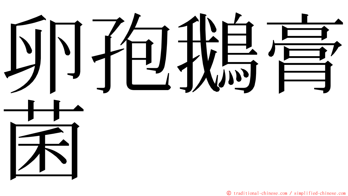 卵孢鵝膏菌 ming font