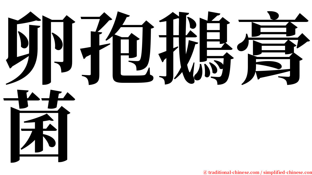 卵孢鵝膏菌 serif font