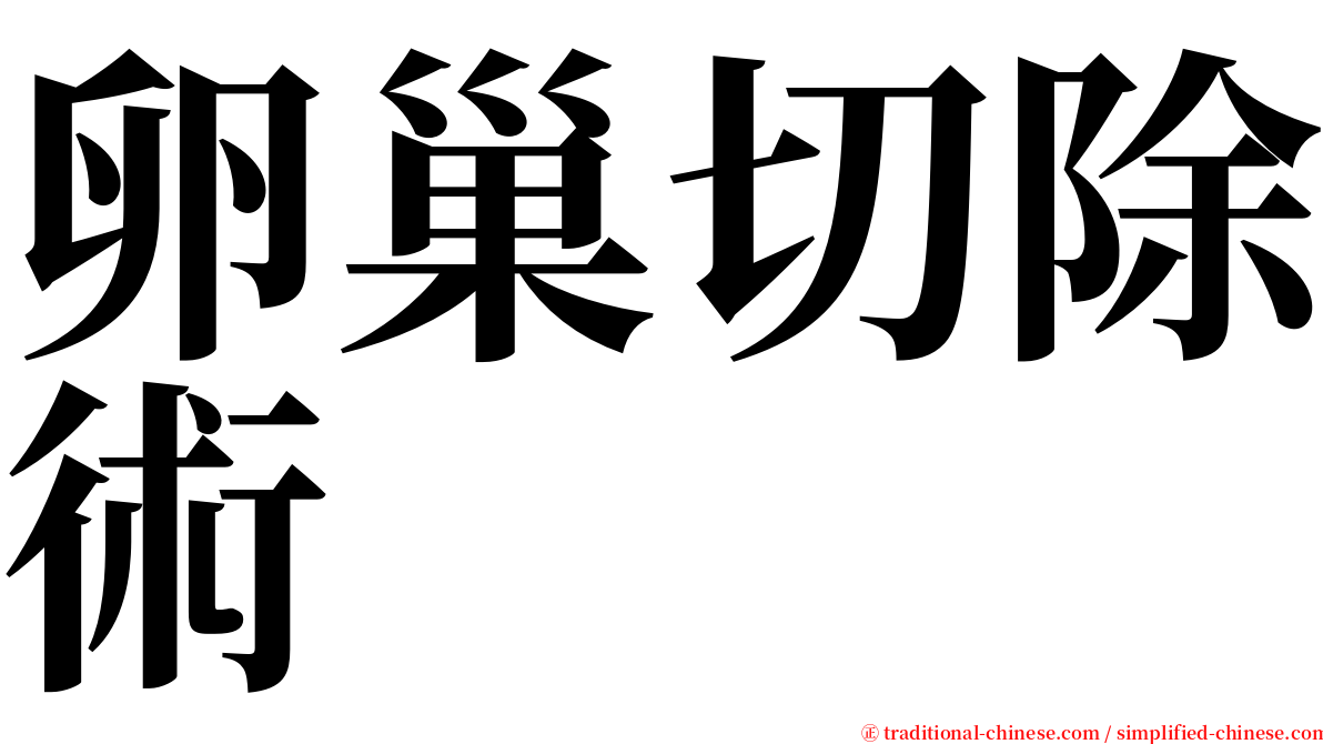 卵巢切除術 serif font