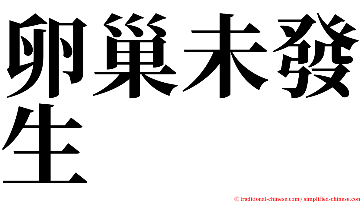 卵巢未發生 serif font