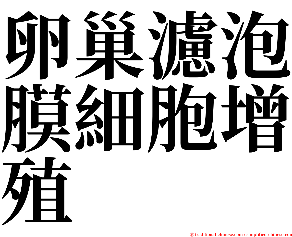 卵巢濾泡膜細胞增殖 serif font