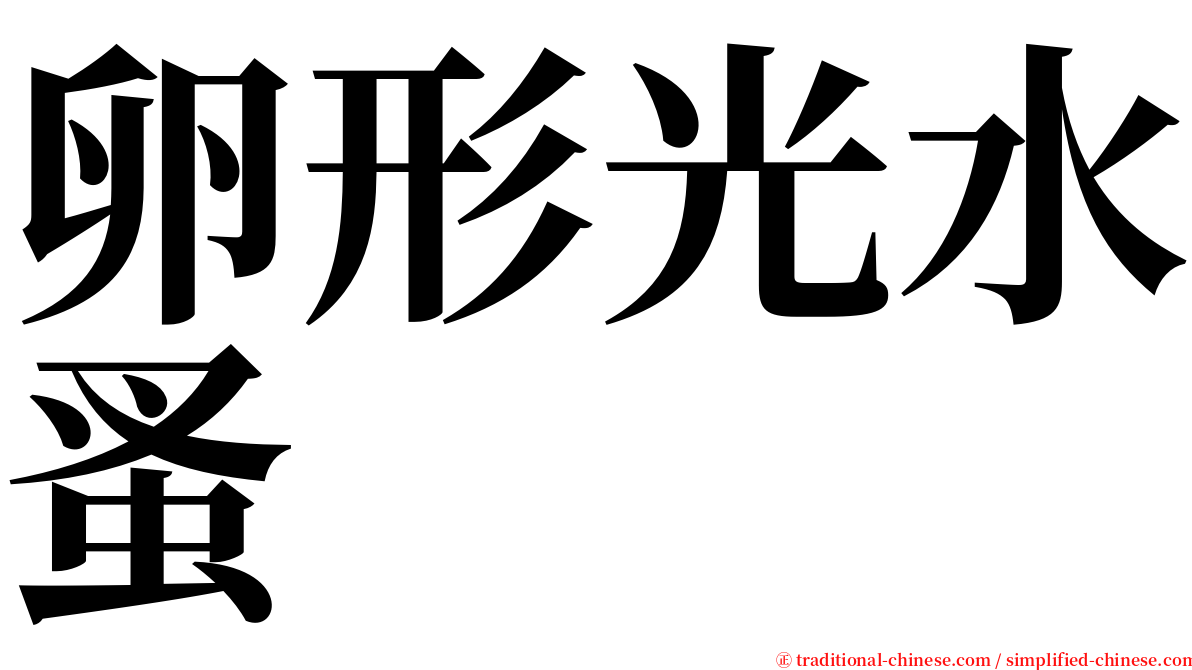 卵形光水蚤 serif font