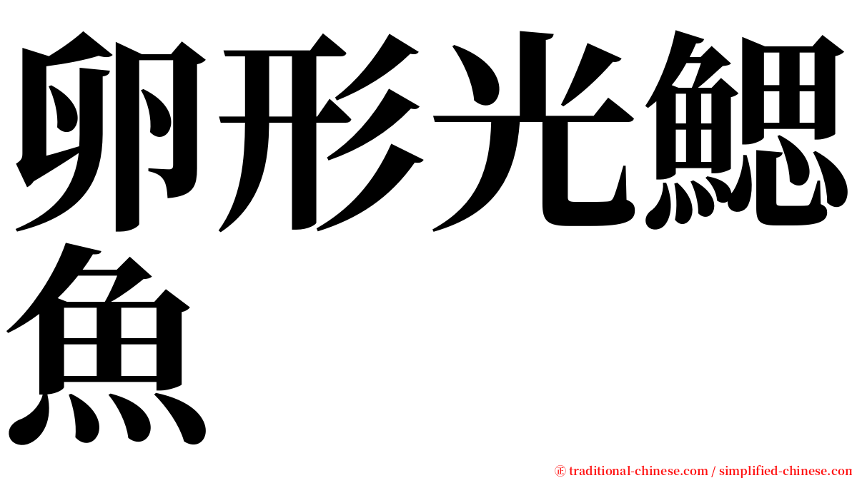 卵形光鰓魚 serif font