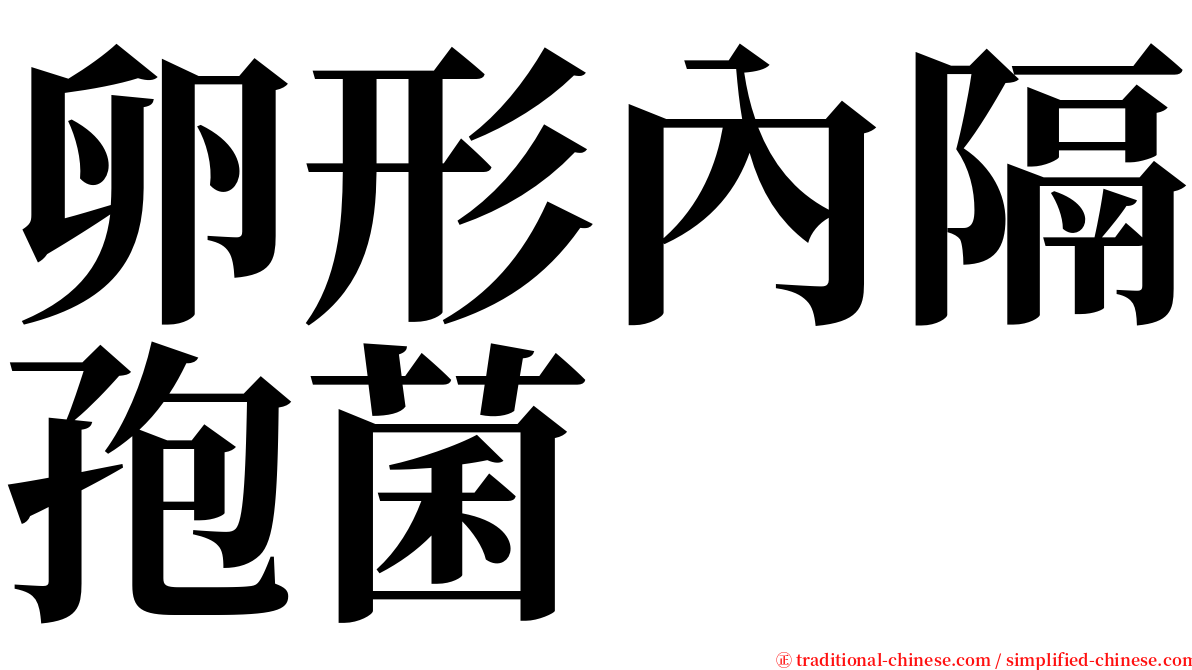 卵形內隔孢菌 serif font