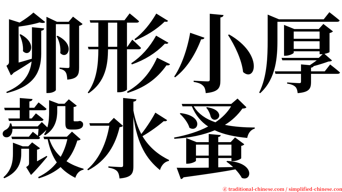 卵形小厚殼水蚤 serif font