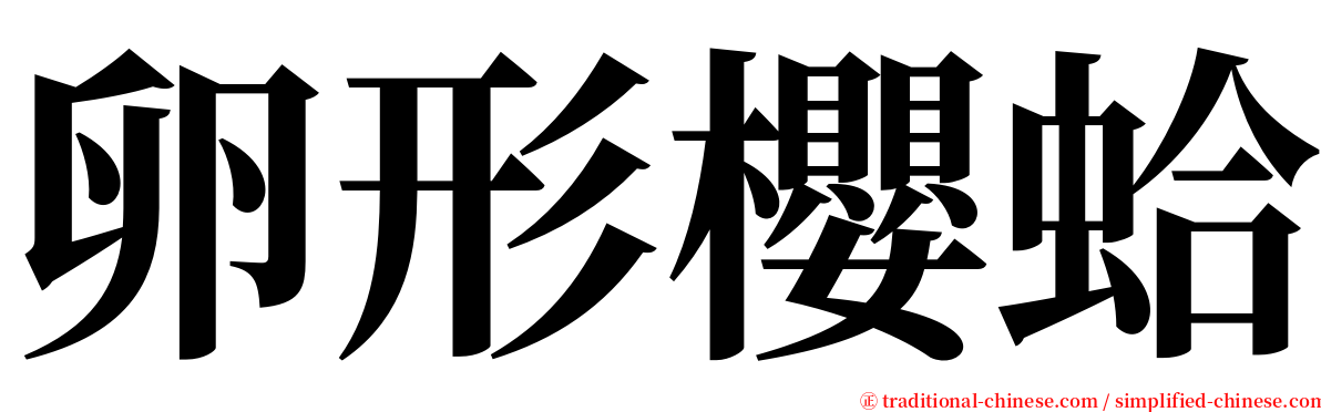 卵形櫻蛤 serif font