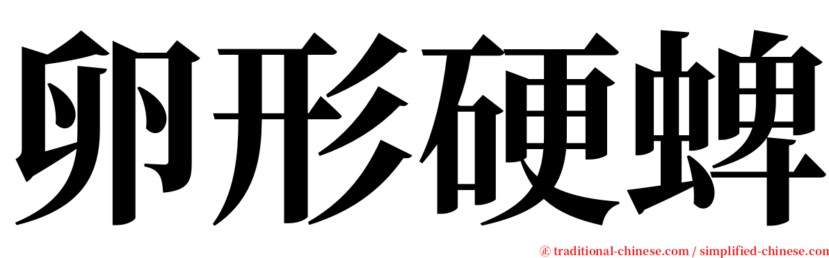 卵形硬蜱 serif font