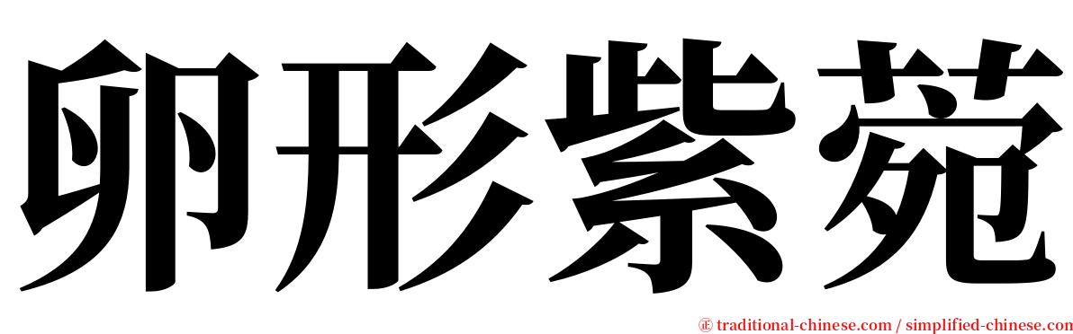 卵形紫菀 serif font