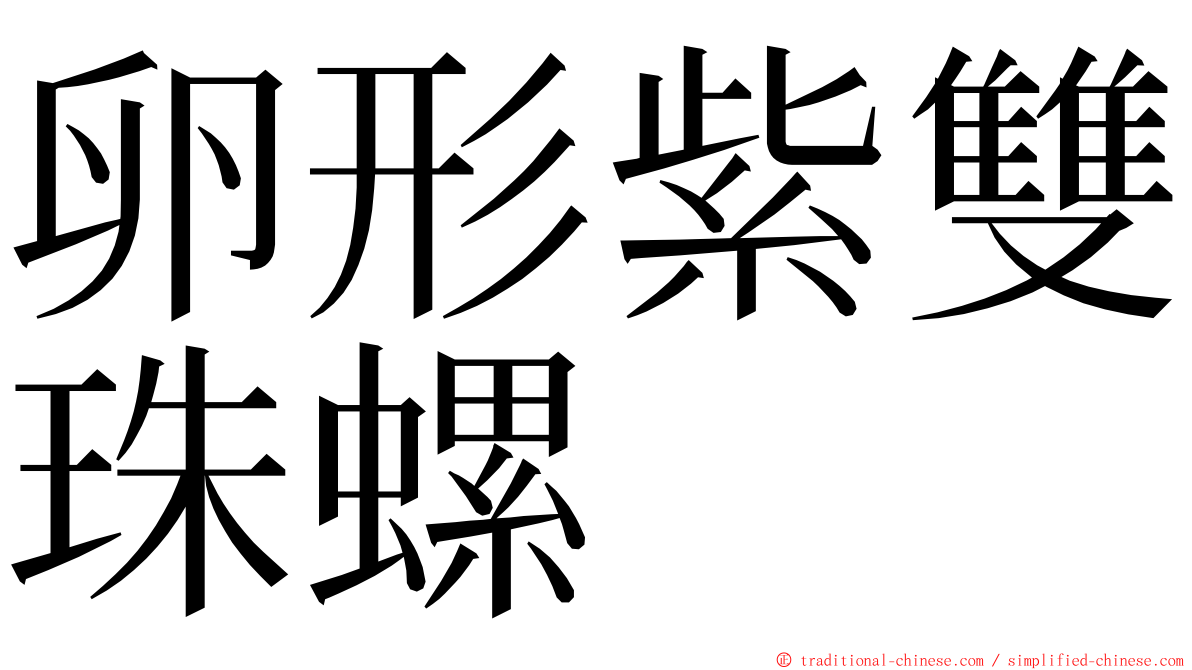 卵形紫雙珠螺 ming font