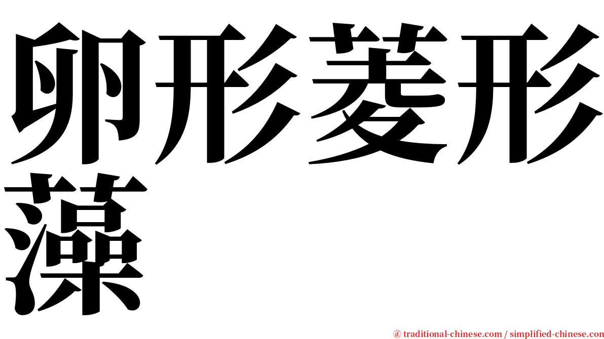 卵形菱形藻 serif font