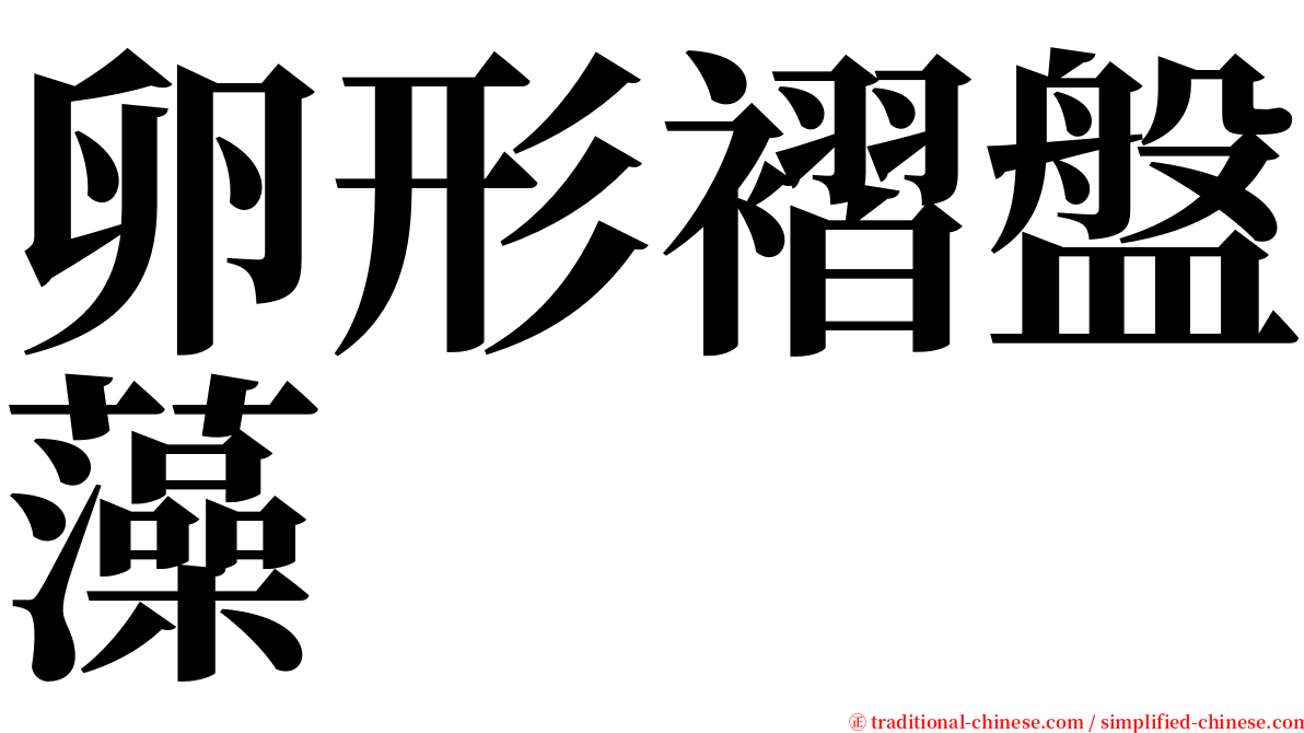 卵形褶盤藻 serif font