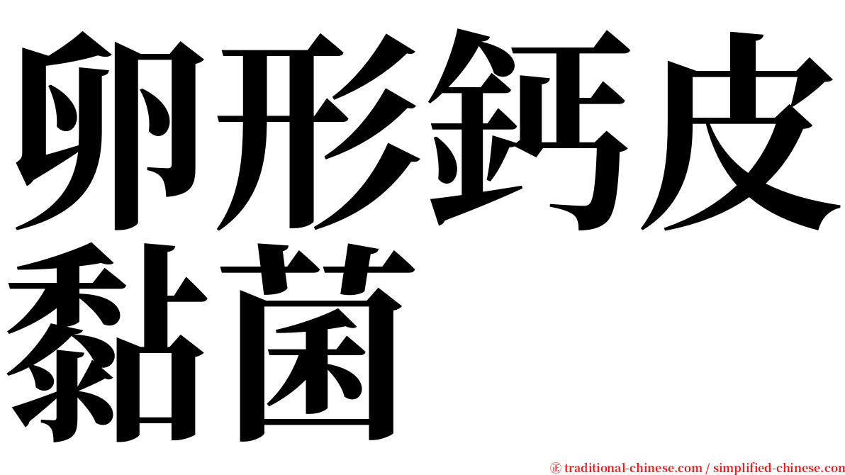 卵形鈣皮黏菌 serif font