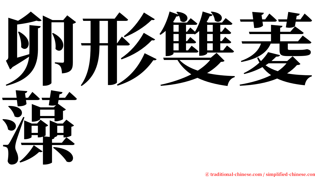 卵形雙菱藻 serif font