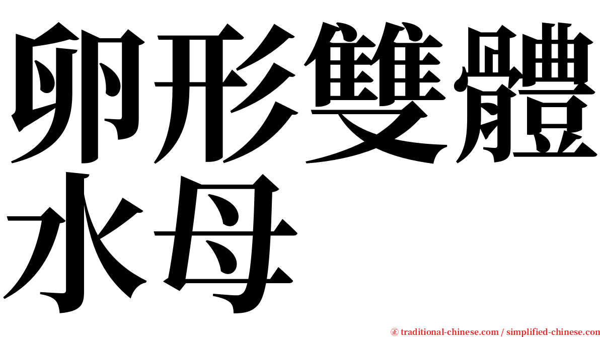 卵形雙體水母 serif font