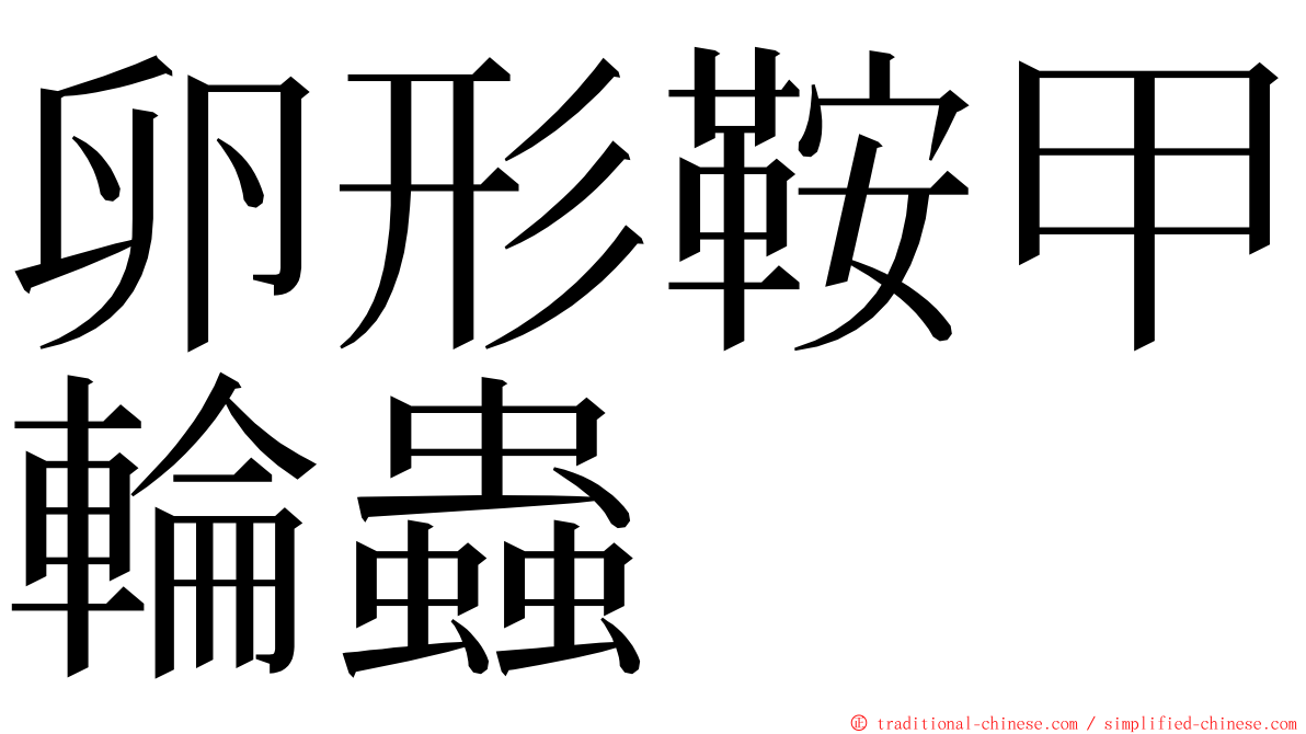 卵形鞍甲輪蟲 ming font