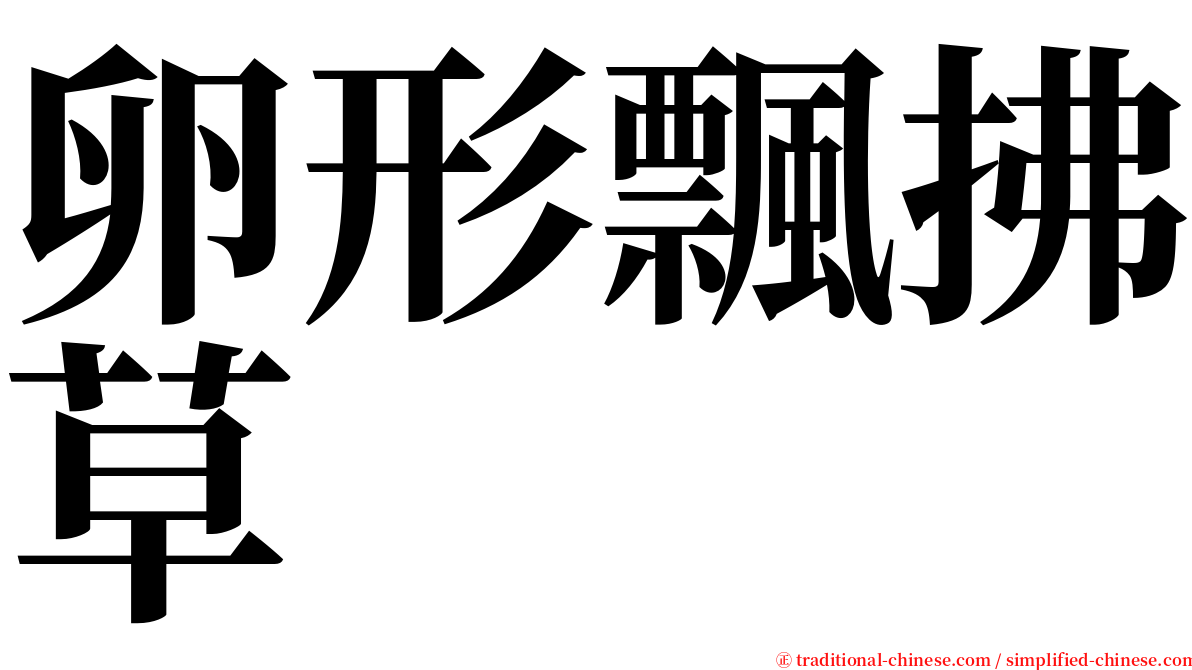 卵形飄拂草 serif font