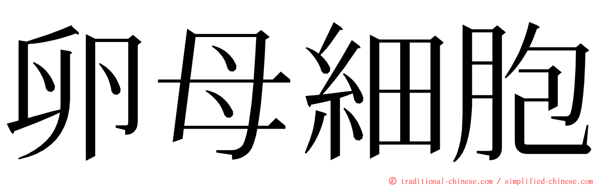 卵母細胞 ming font