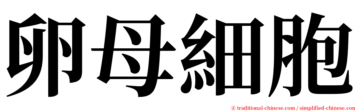 卵母細胞 serif font