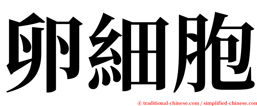 卵細胞 serif font