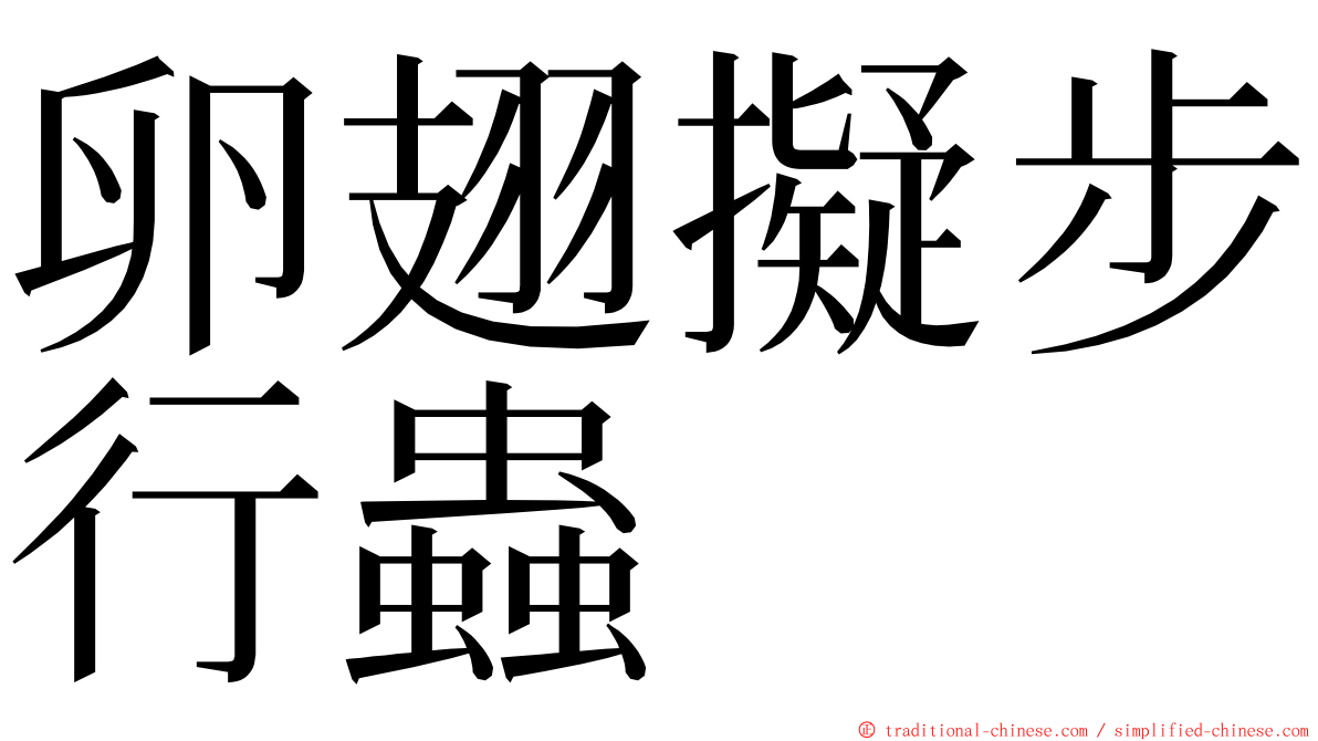 卵翅擬步行蟲 ming font