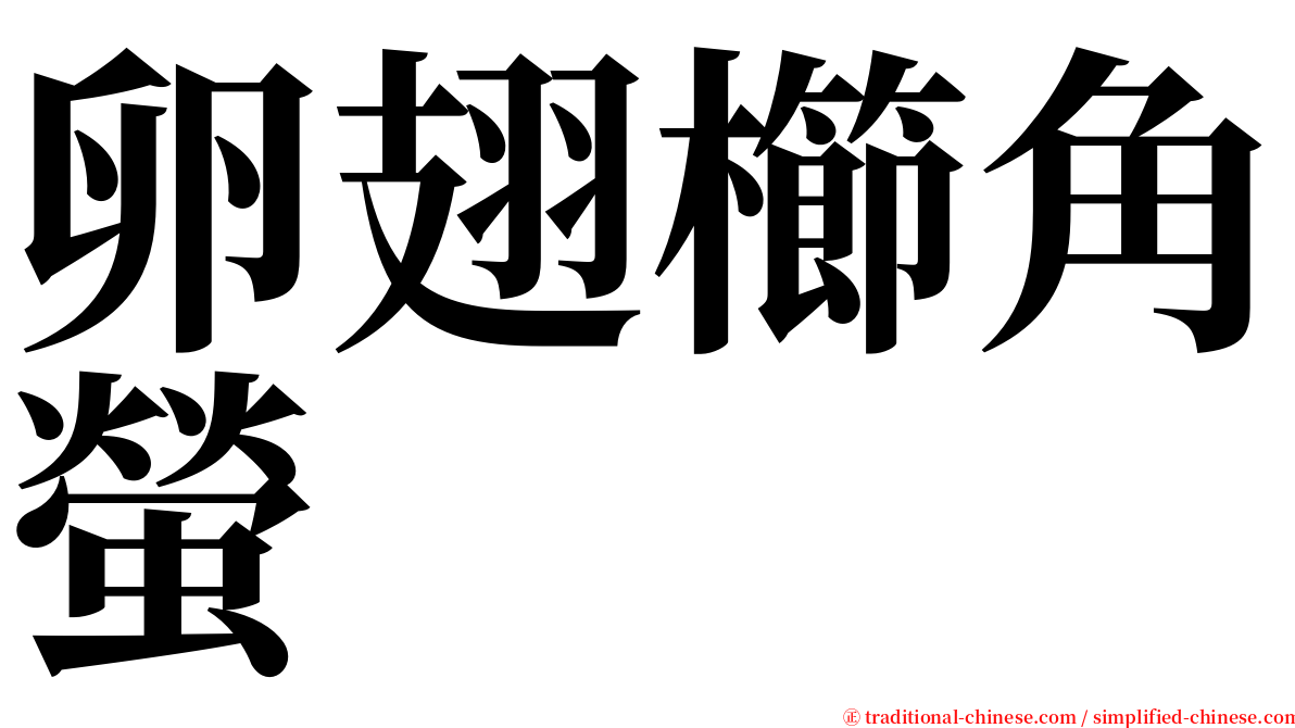 卵翅櫛角螢 serif font