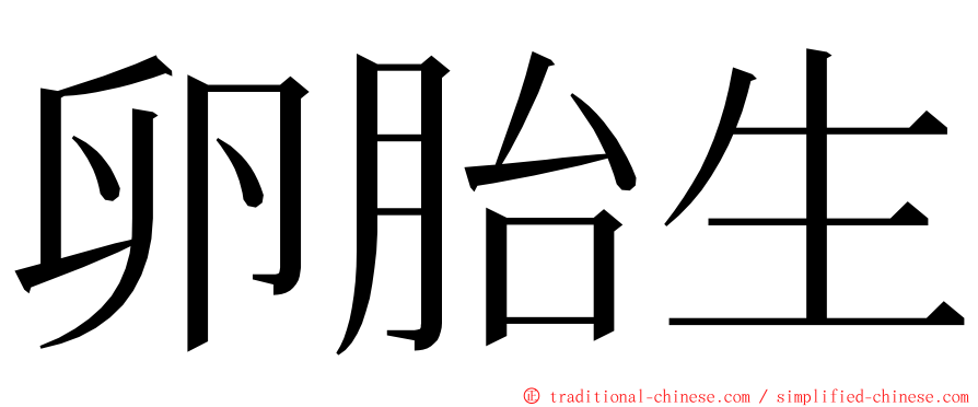 卵胎生 ming font