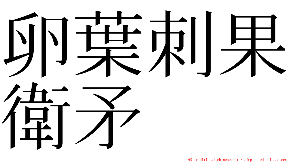 卵葉刺果衛矛 ming font