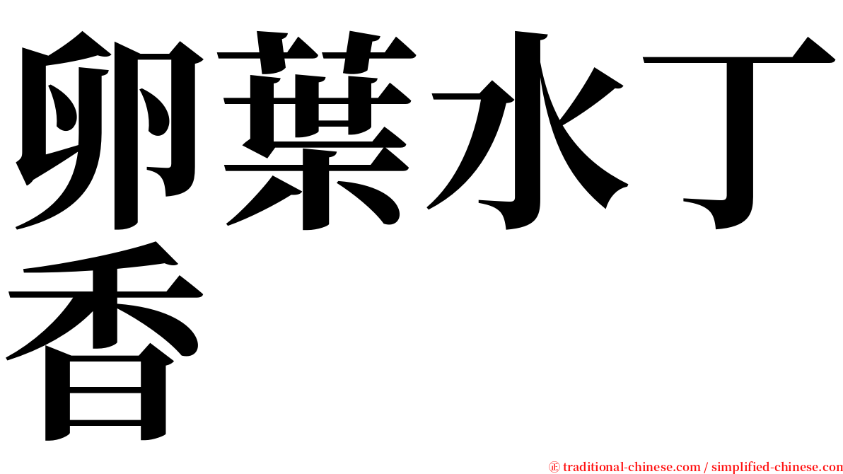 卵葉水丁香 serif font