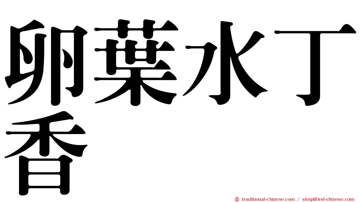 卵葉水丁香