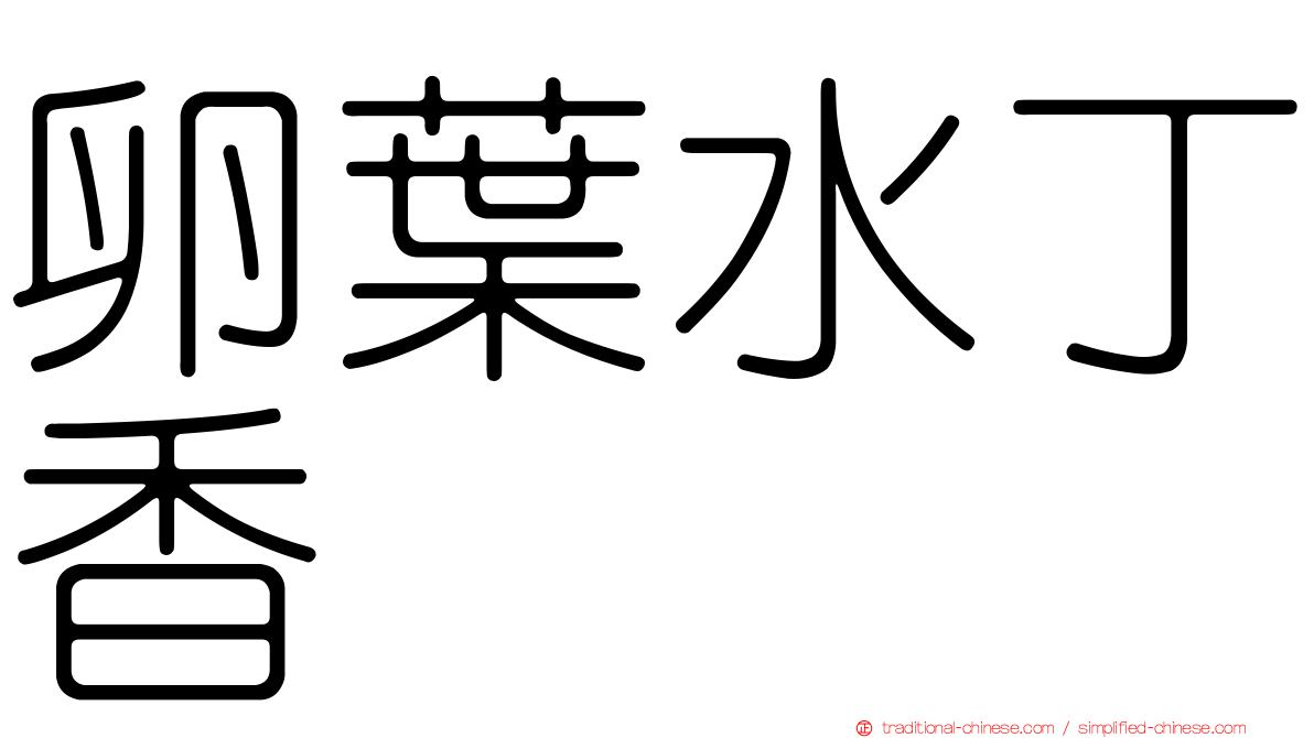 卵葉水丁香