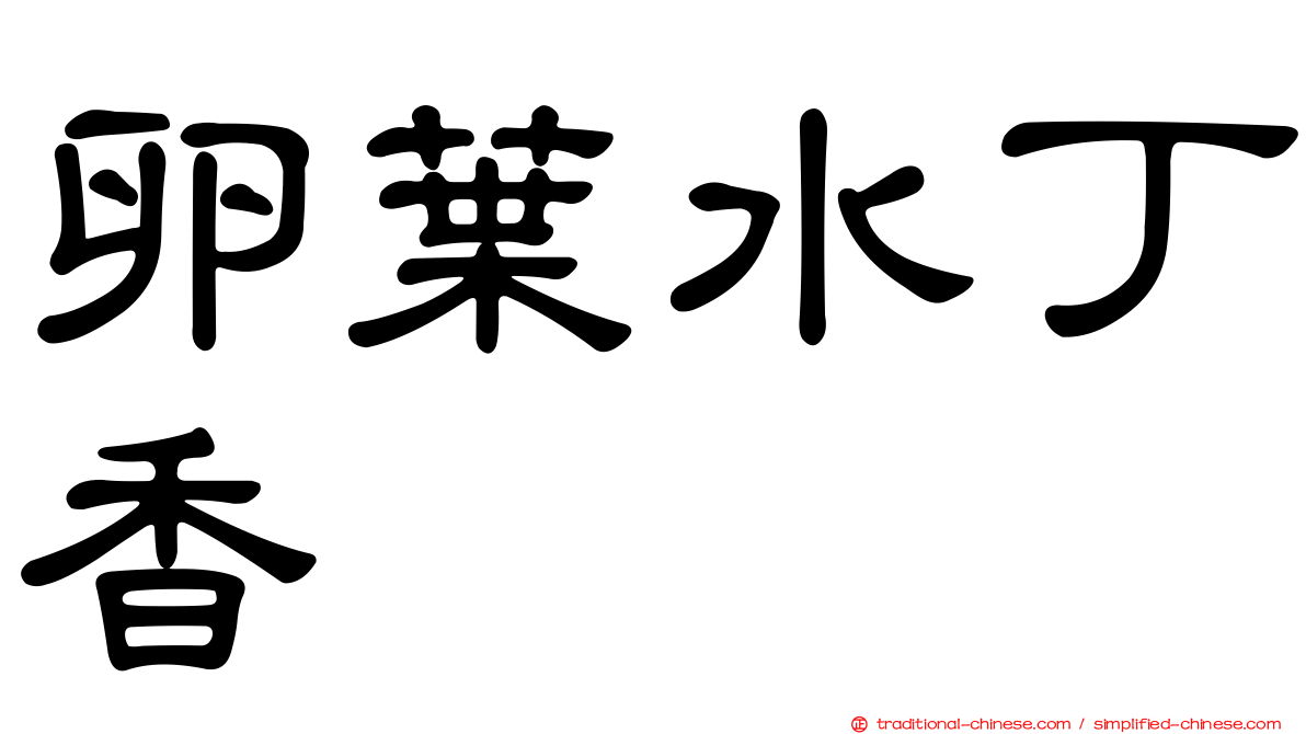 卵葉水丁香