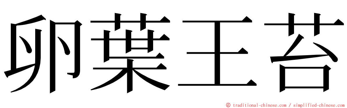 卵葉王苔 ming font